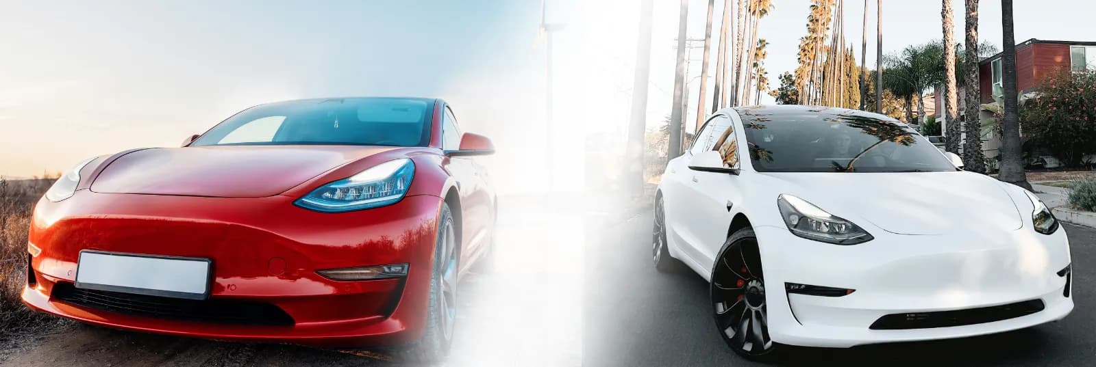 AWD vs RWD: Which Is Better to Drive in Ontario?
